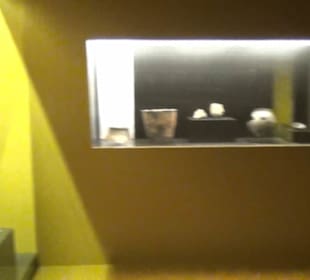 Museum de San Isidro