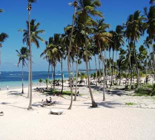 Strand vor dem Jellyfish