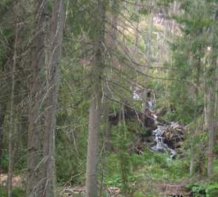 Parcul Natural Apuseni