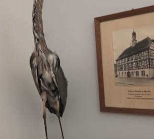 Heimatmuseum im Herrenhaus