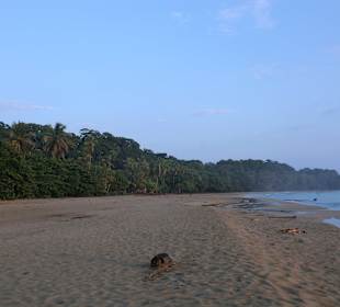 Playa Cocles früh am Morgen