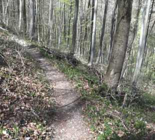 Wanderweg Hochgehkämpft
