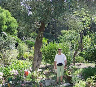 Grüne Blütenpracht