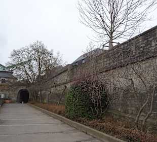 Mainpromenade Würzburg