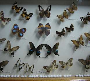 Schaukasten am Ende des Rundganges