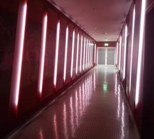 Allianz-Arena in München