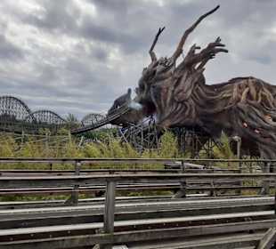 Heidepark Soltau in Soltau