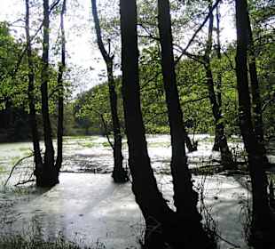 Hertha-See auf Rügen