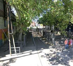 Viel grün in der Stadt