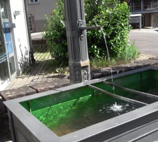 Savoyer Platz Altensteig