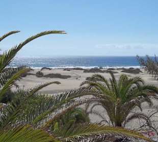Dünen von Maspalomas