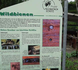 Naturinfopfad Weggental