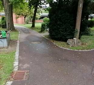 Hauptfriedhof Ulm