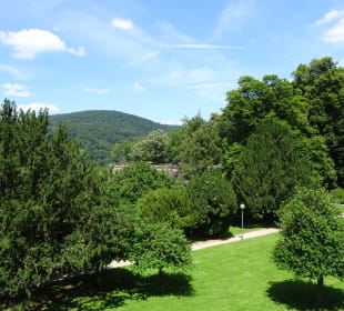 Bergbahn - Aus- und Einblicke vom Schloss