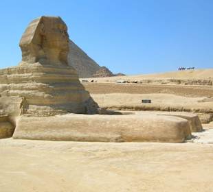 Sphinx