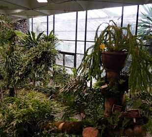 Anlage Planten un Blomen