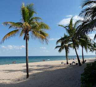 Fort Lauderdale Beach