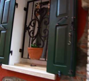 Die Fenster 