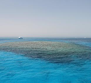 Wunderschöne Riffe / Schnorchelstopp