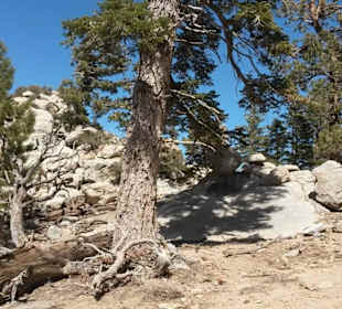 Wanderwege Mount San Jacinto