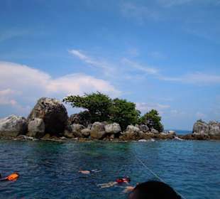 Korallenriff im Marine National Park