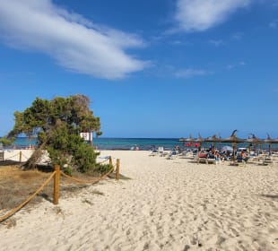 Strand Sa Coma