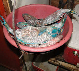 Wiegen des Mittagessens