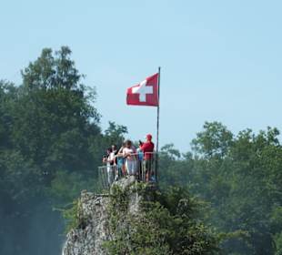 Rheininsel