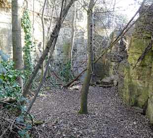 Felsengärten Hessigheim