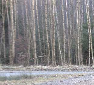 Ochsenweiher Rundweg