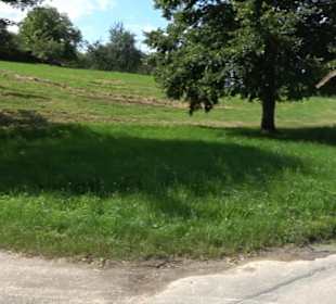 Hochgehnießen - Premiumspazierwanderweg