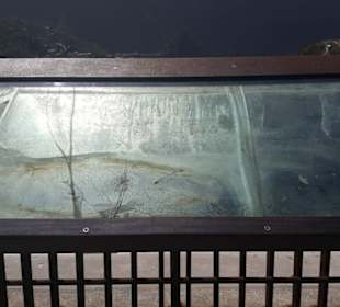 Aussichtspunt Mirador de La Cruz de Hilda