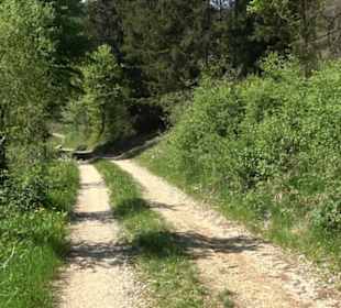 Premiumwanderweg Hochgehschätzt