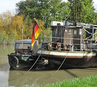 Impressionen vom Traditionshafen Wischhafen