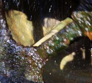 In das Wasserrad hinein