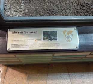 Regenwaldhaus