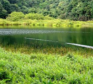 Impressionen vom Grand Etang