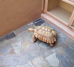 Wandern Chersónisos/Hersonissos