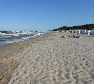Strand von Kölpinsee-5-10 Gehminuten entfernt
