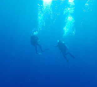 Tauchen Nabq Bay
