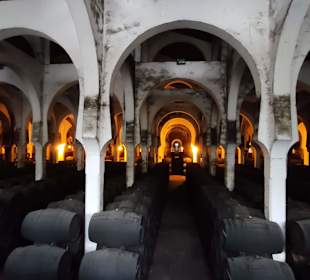 Stadtrundgang Jerez de la Frontera