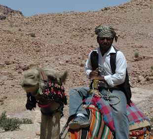 Kameltaxi gefällig?