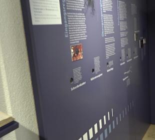 Höhlenkundliches Museum Laichingen