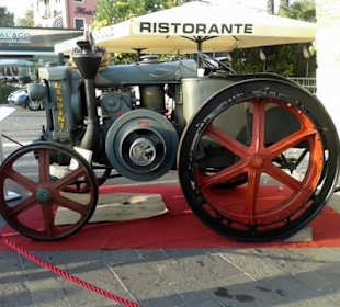Festa dell'uva e del vino Bardolino