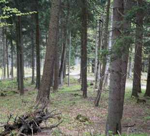 Berg Schneekoppe/Śnieżka