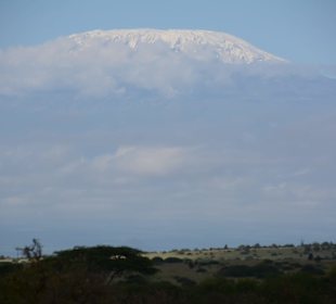 Kilimandscharo