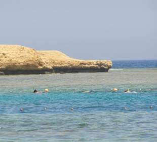 schnorcheln in Sharm el Naqua