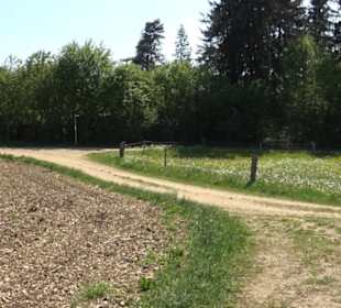 Premiumwanderweg Hochgehschätzt