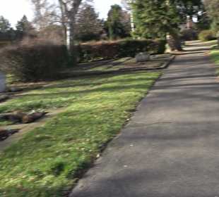 Alter Friedhof Pfrondorf