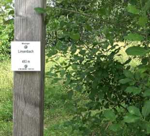 Premiumspazierweg Früchtetrauf-Leisawegle